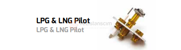 LPG & LNG Pilot Grubu 3 Yanışlı Model